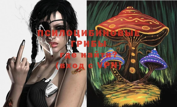 мдпв Нея