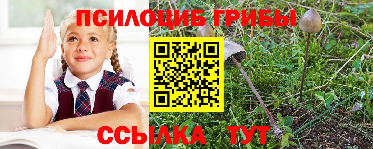 Псилоцибиновые грибы прущие грибы  Псилоцибиновые грибы GOLDEN TEACHER  купить наркоту  Арзамас  Вход с VPN 