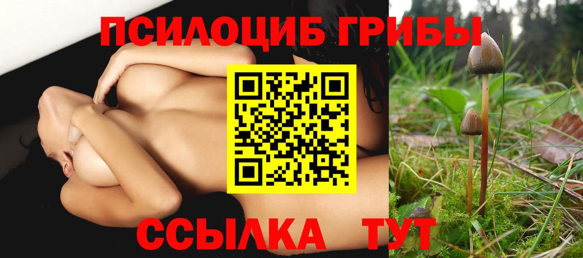 Галлюциногенные грибы ЛСД Арзамас